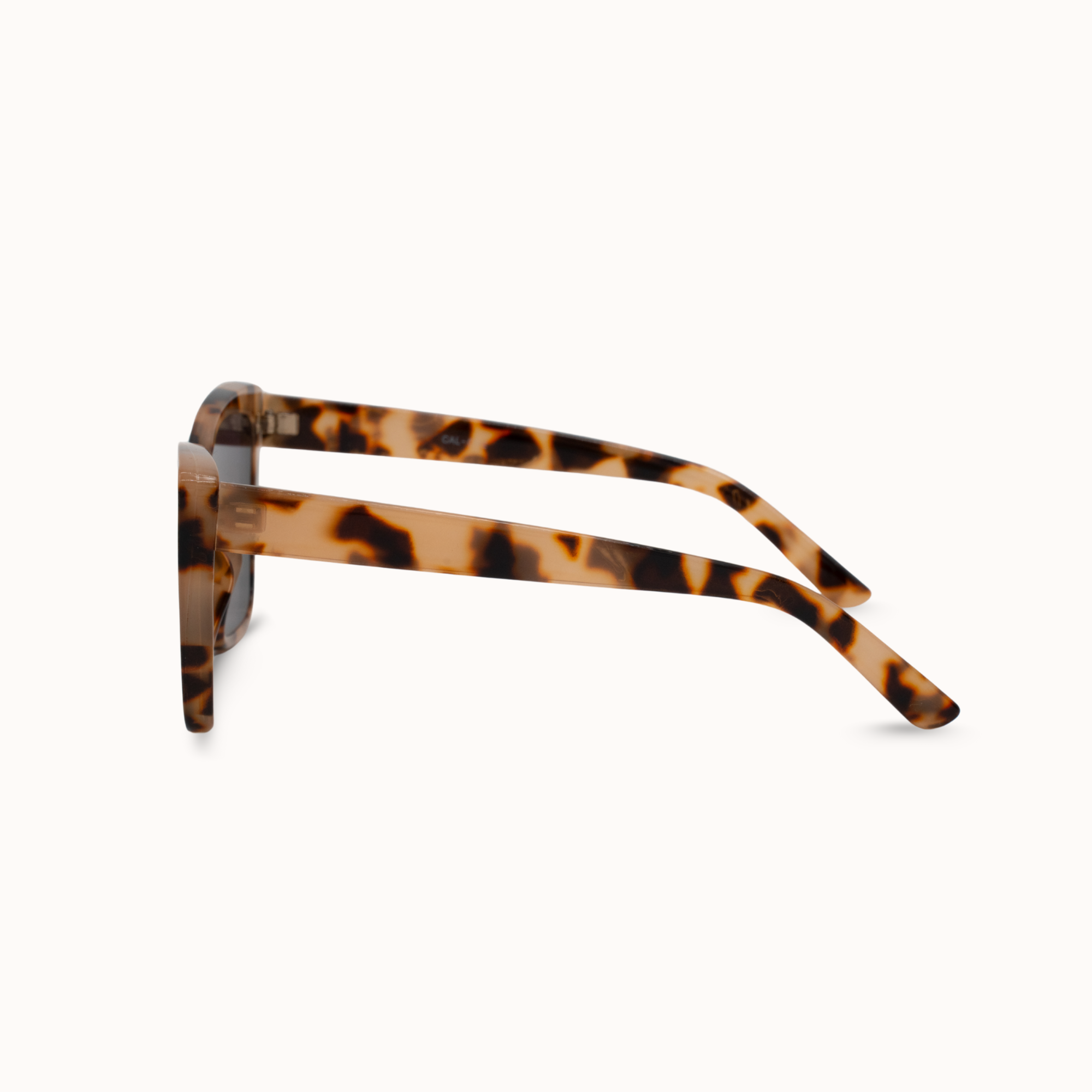 Sunglasses with tortoiseshell frame on a white background