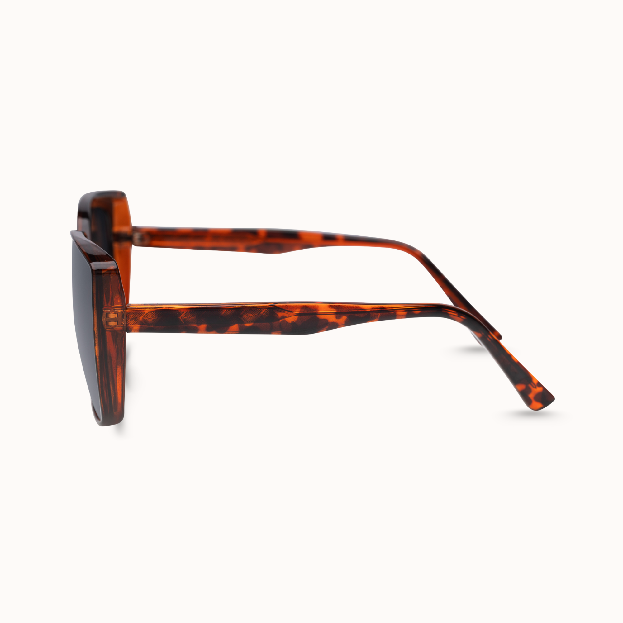 Sunglasses with tortoiseshell frame on a white background