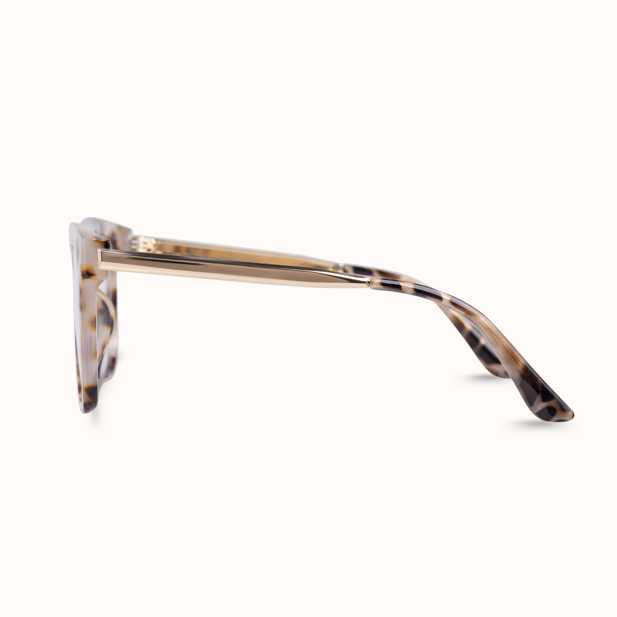 Sunglasses with tortoiseshell frame on a white background