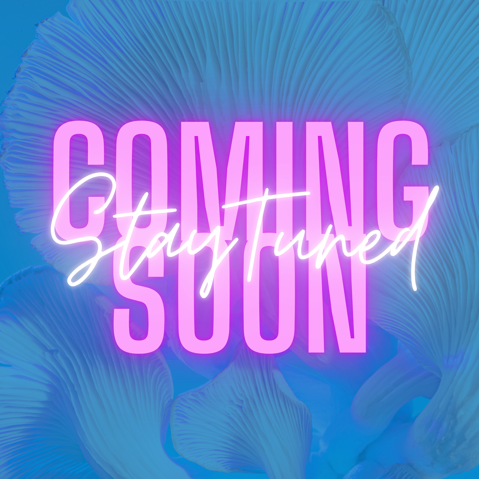 Coming Soon Image