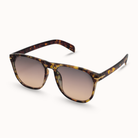 Tortoiseshell sunglasses with brown gradient lenses on a white background